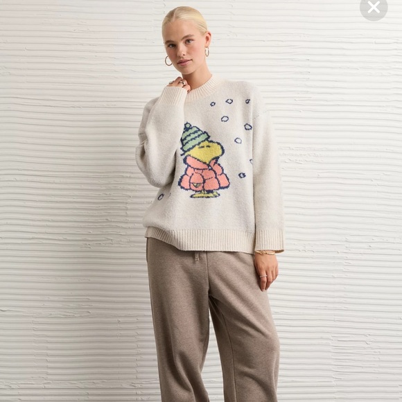 American Eagle Outfitters Sweaters - NWT American Eagle Super Soft Woodstock Sweater size Large